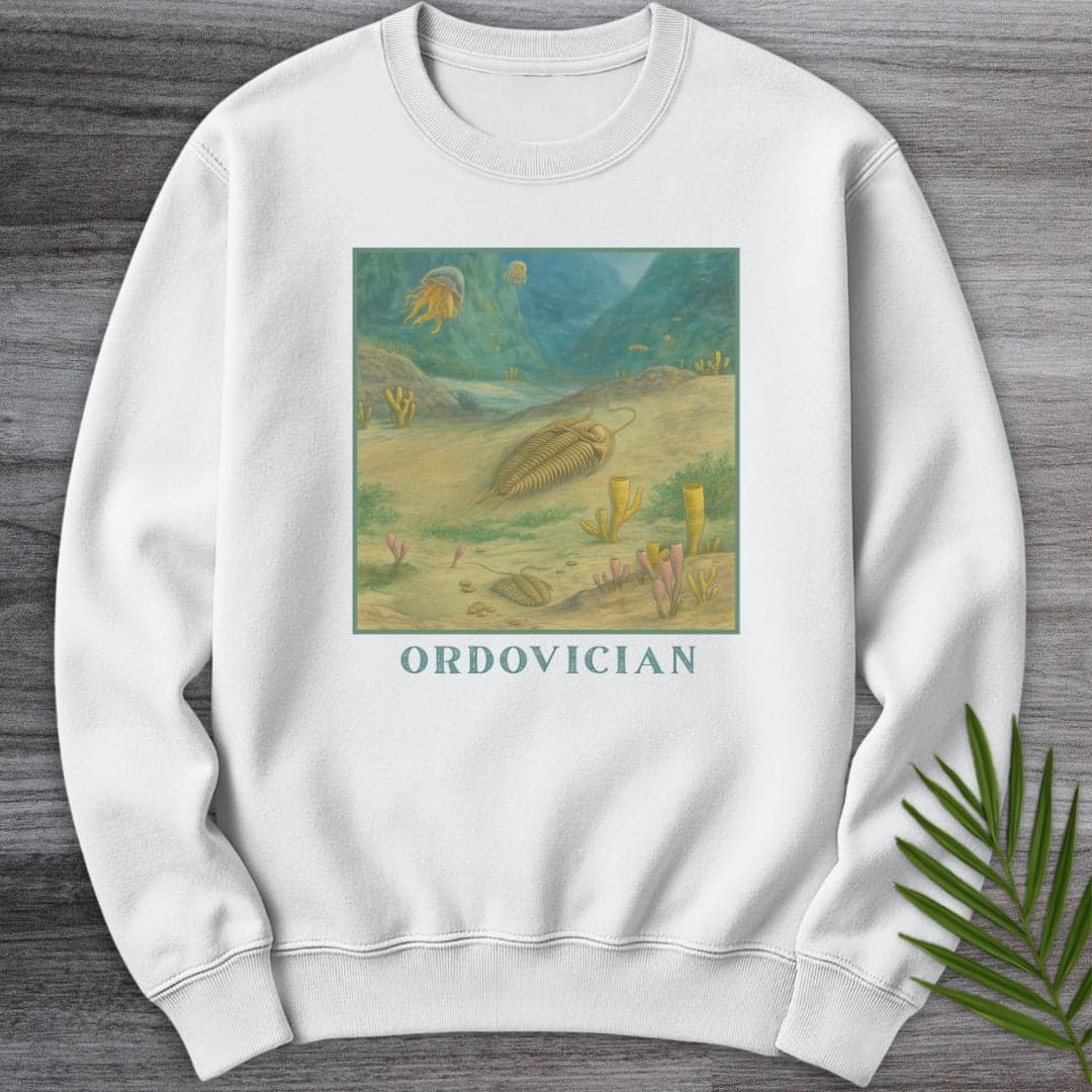 Sweatshirt White / S Ordovician Seafloor Crewneck