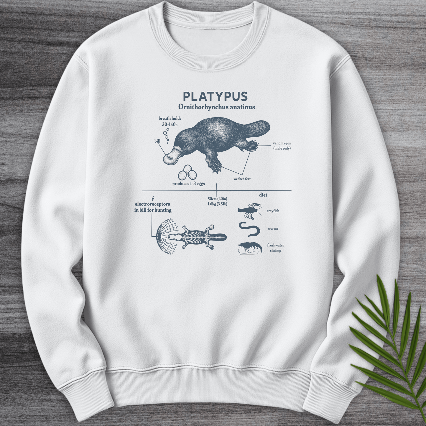 Sweatshirt White / S Ornithorhynchus Anatinus ( Platypus) Crewneck