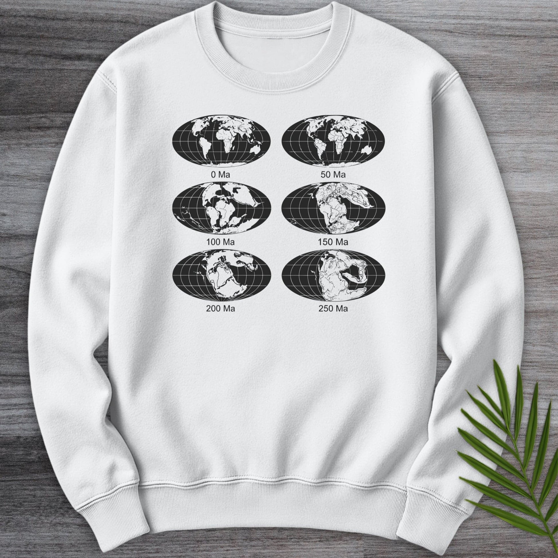 Sweatshirt White / S Stages of Earth Crewneck