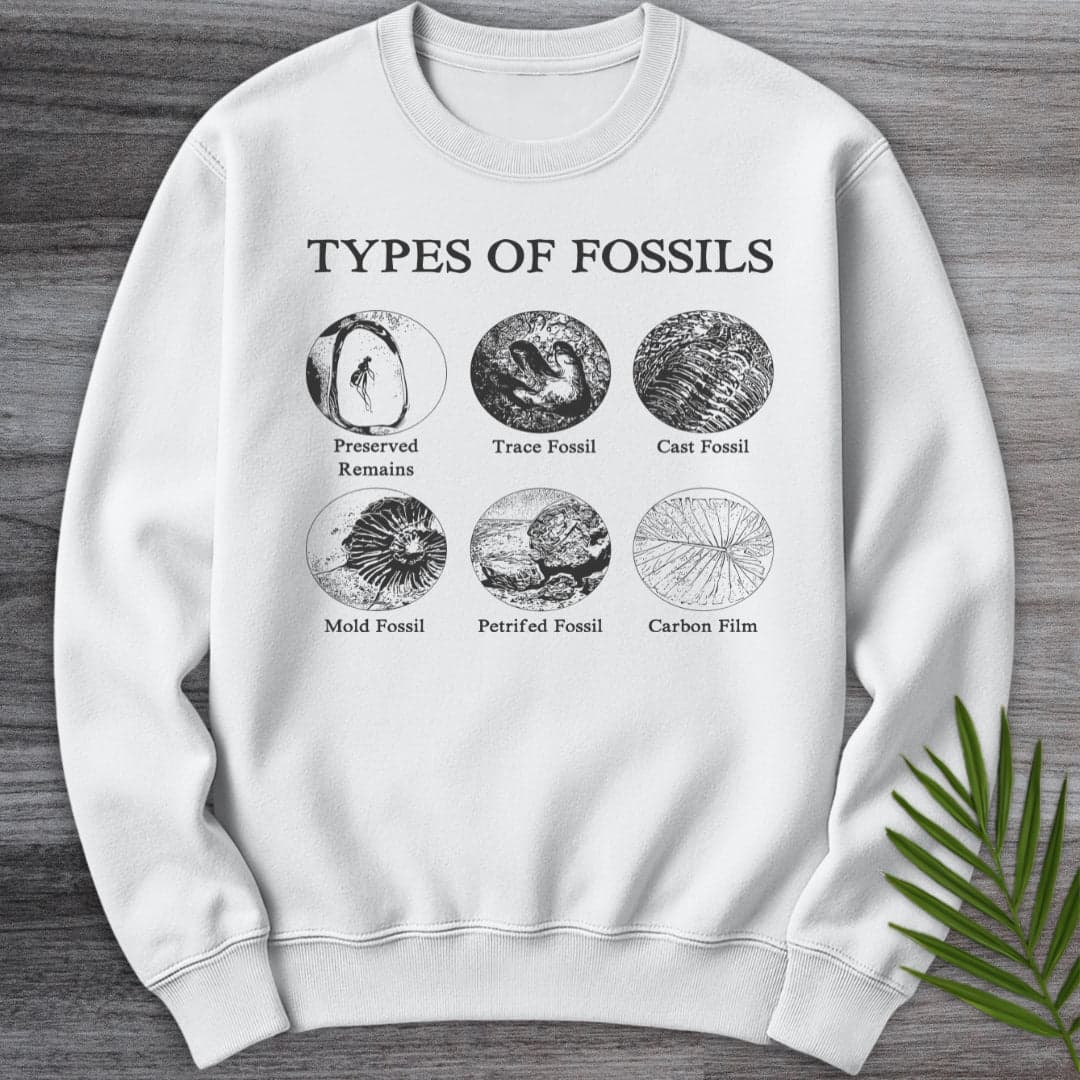 Sweatshirt White / S Types of Fossils Crewneck