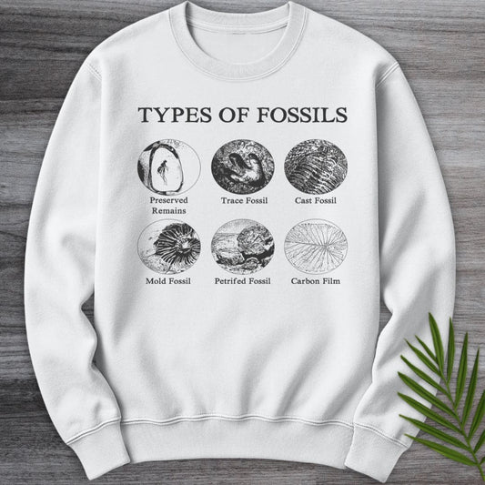 Sweatshirt White / S Types of Fossils Crewneck
