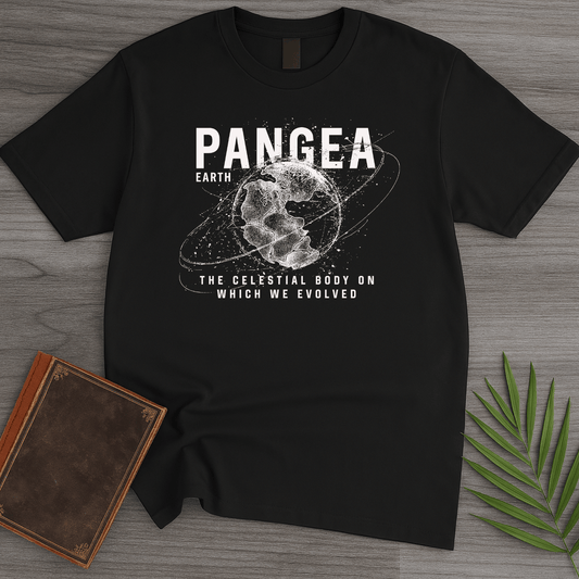 T-Shirt Black / S Streetwear Pangea Earth T-Shirt