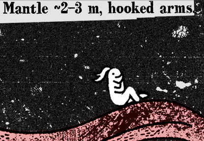 T-Shirt Cretaceous Kraken Tusoteuthis T-Shirt (dunyaatay)