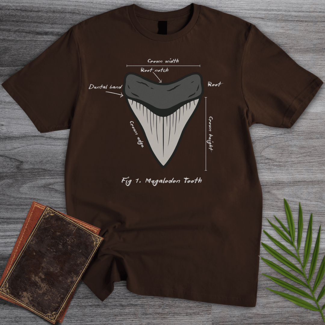 T-Shirt Dark Chocolate / S Figure 1: Megalodon Tooth T-Shirt