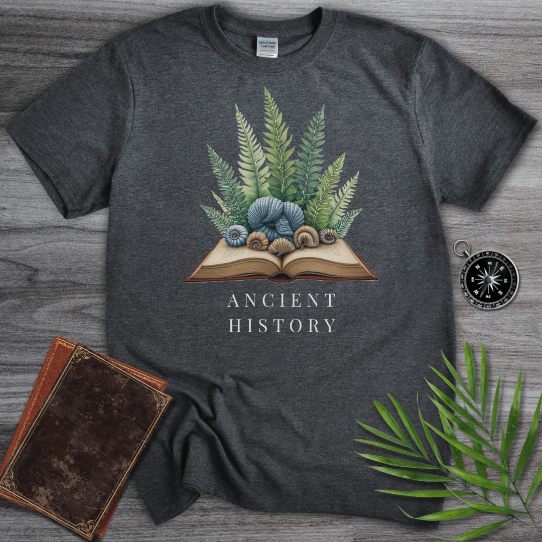 T-Shirt Dark Heather / S Ancient History: Stories of the Past T-Shirt