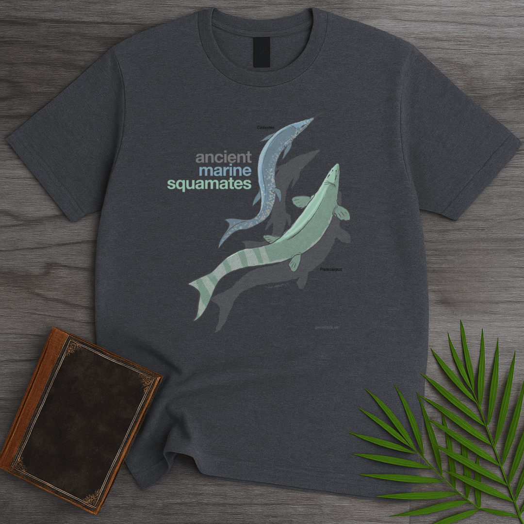 T-Shirt Dark Heather / S Ancient Marine Squamates T-Shirt (palaeoden_art)