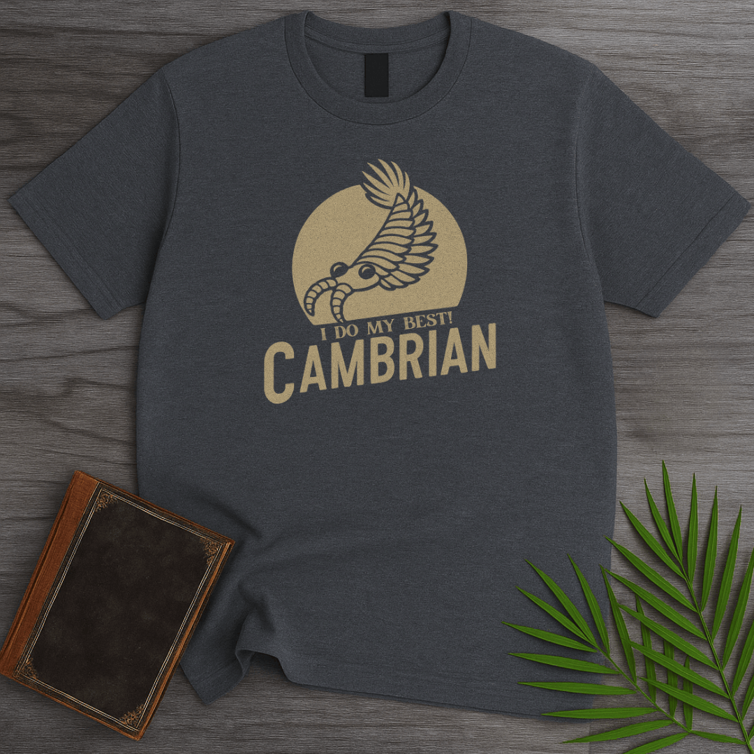T-Shirt Dark Heather / S Cambrian: I Do My Best T-Shirt