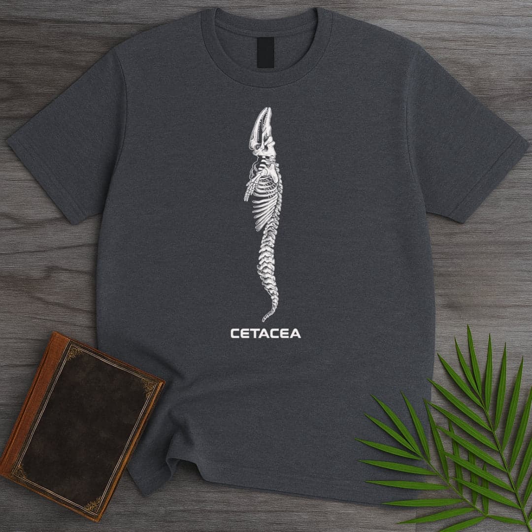 T-Shirt Dark Heather / S Cetacea Whale Skeleton T-Shirt
