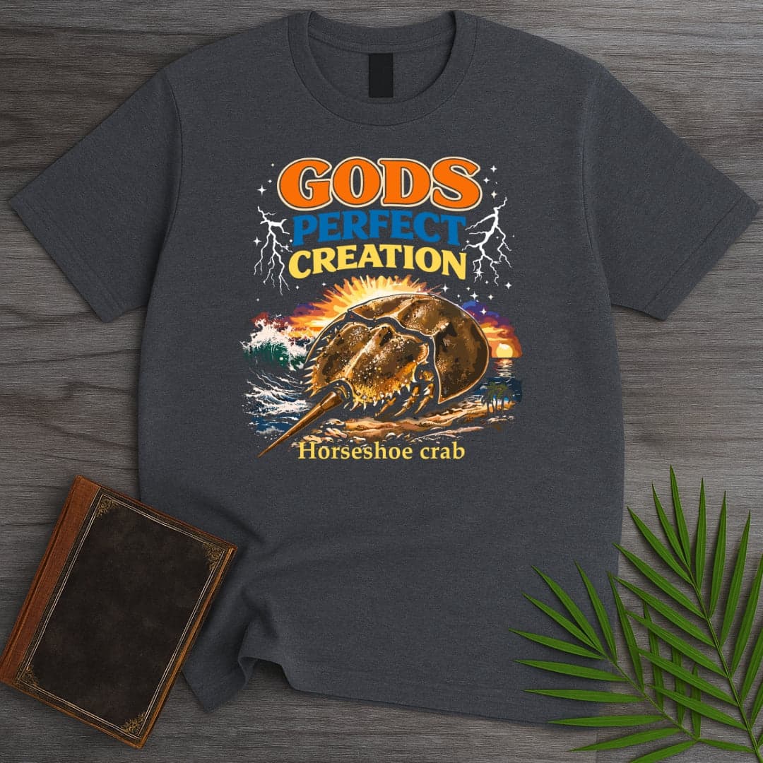T-Shirt Dark Heather / S Gods Perfect Creation T-Shirt