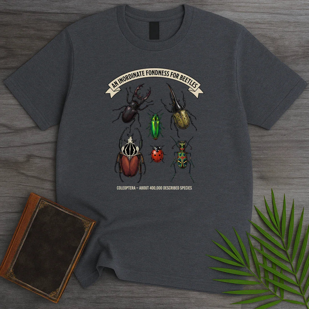 T-Shirt Dark Heather / S Inordinate Fondness Beetles T-Shirt