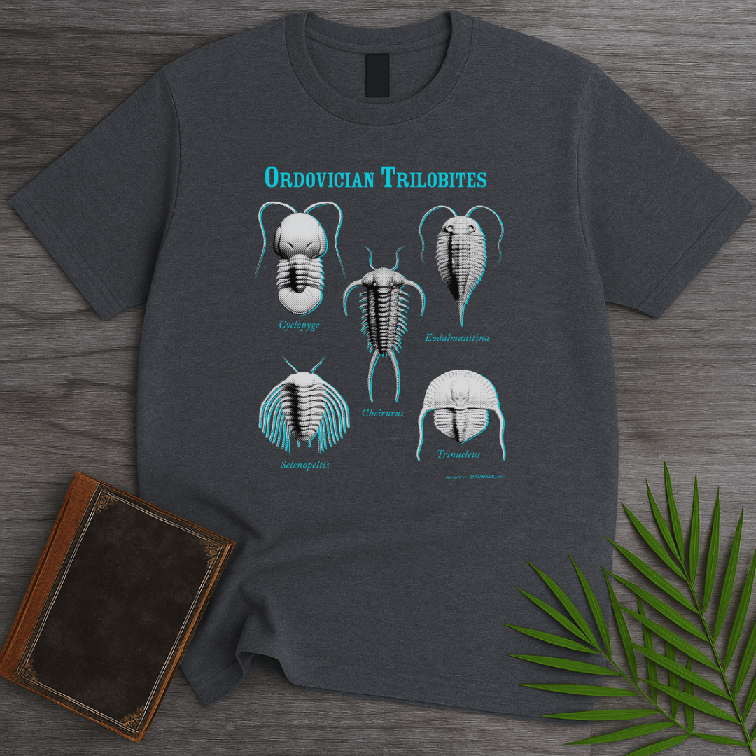 T-Shirt Dark Heather / S Ordovician Trilobite Genera T-Shirt (ldn_rdnt_art)
