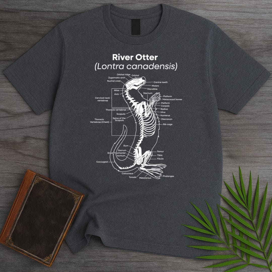 T-Shirt Dark Heather / S River Otter Anatomy T-Shirt