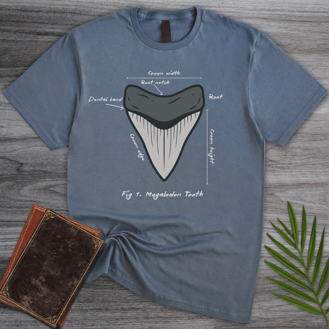 T-Shirt Heather Indigo / S Figure 1: Megalodon Tooth T-Shirt