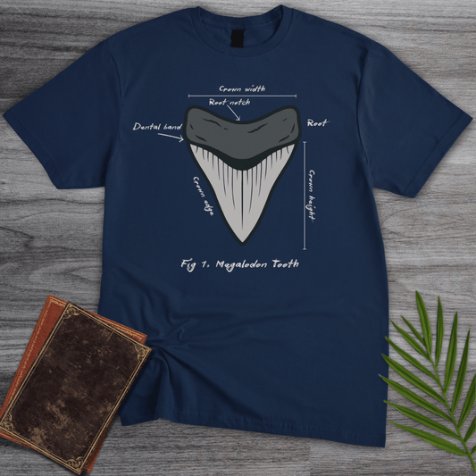 T-Shirt Navy / S Figure 1: Megalodon Tooth T-Shirt