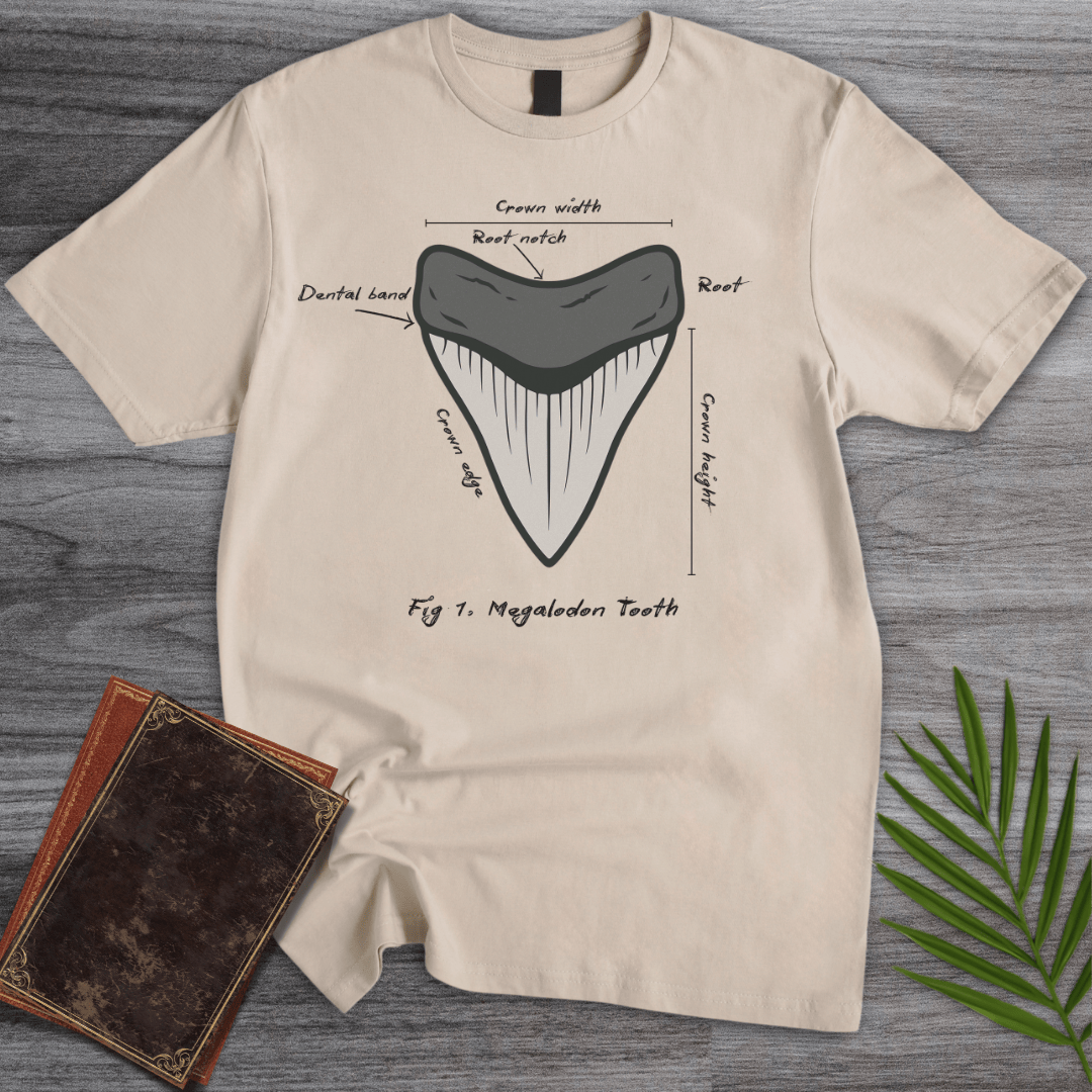 T-Shirt Sand / S Figure 1: Megalodon Tooth T-Shirt