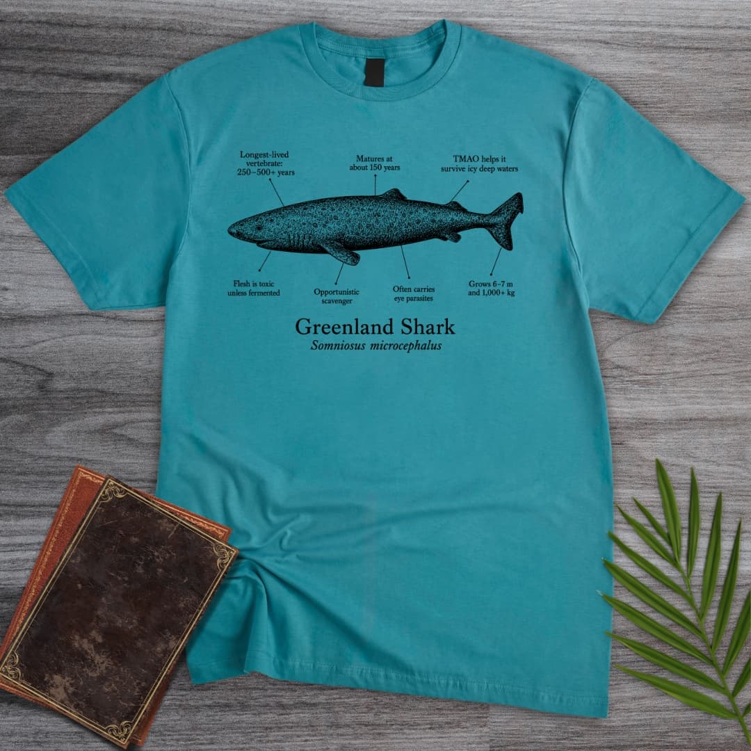 T-Shirt Tropical Blue / S Greenland Shark T-Shirt