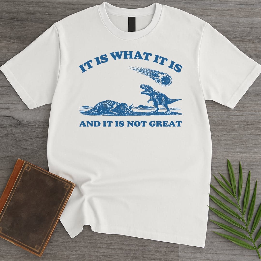 T-Shirt White / S It Is What It Is T-Shirt